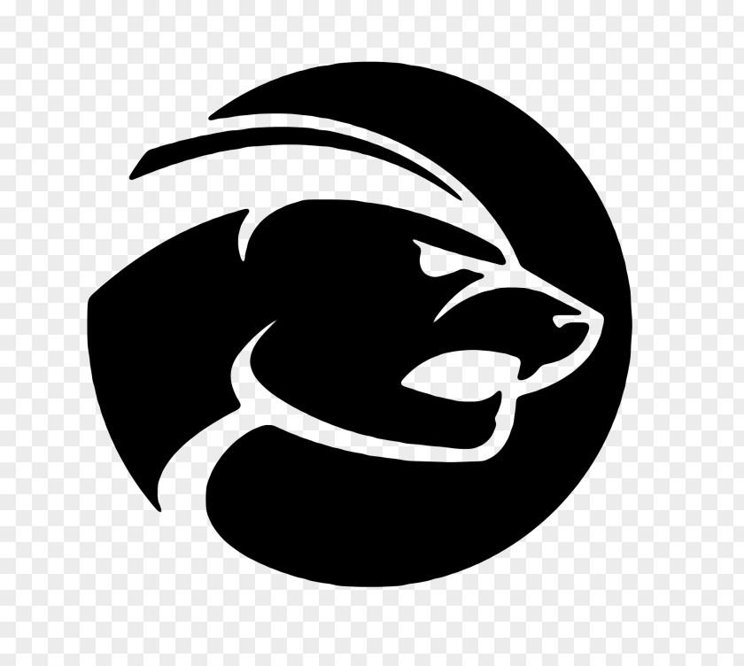 Design Honey Badger Logo Graphic PNG