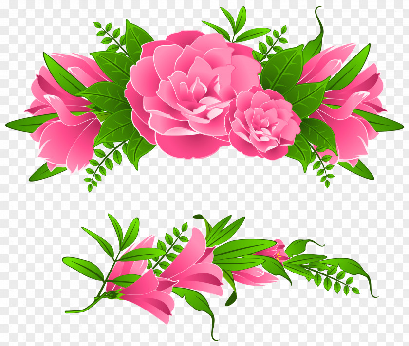 Flowers Borders Free Image Garden Roses Centifolia Pink PNG