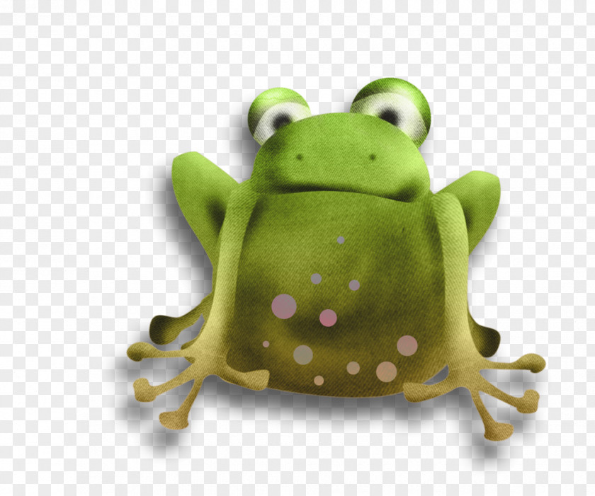 Frog True Tree Green PNG