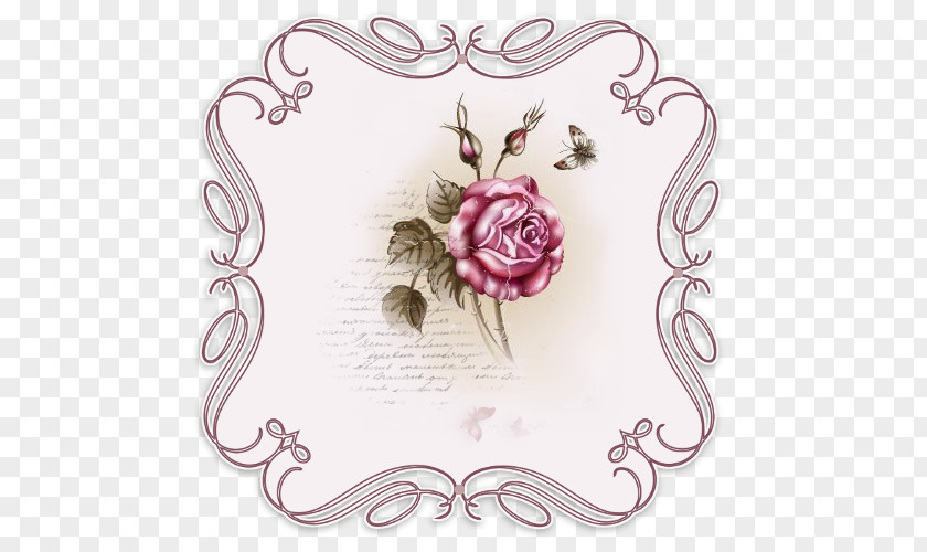 Lace Rose Picture Frames Clip Art PNG