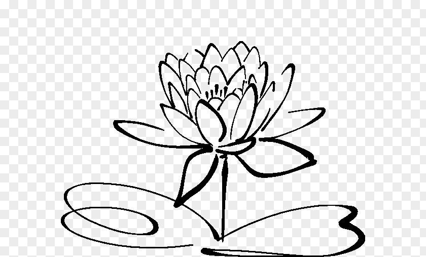 Mandala Lotus Therapy Day Spa Massage Bodywork PNG