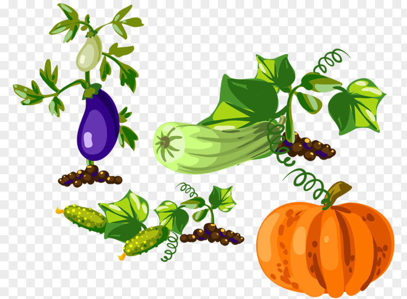 Pumpkin Eggplant Gourd Vegetable Clip Art PNG