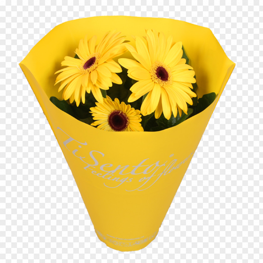 Flower Flowerpot Transvaal Daisy Cut Flowers Chrysanthemum PNG