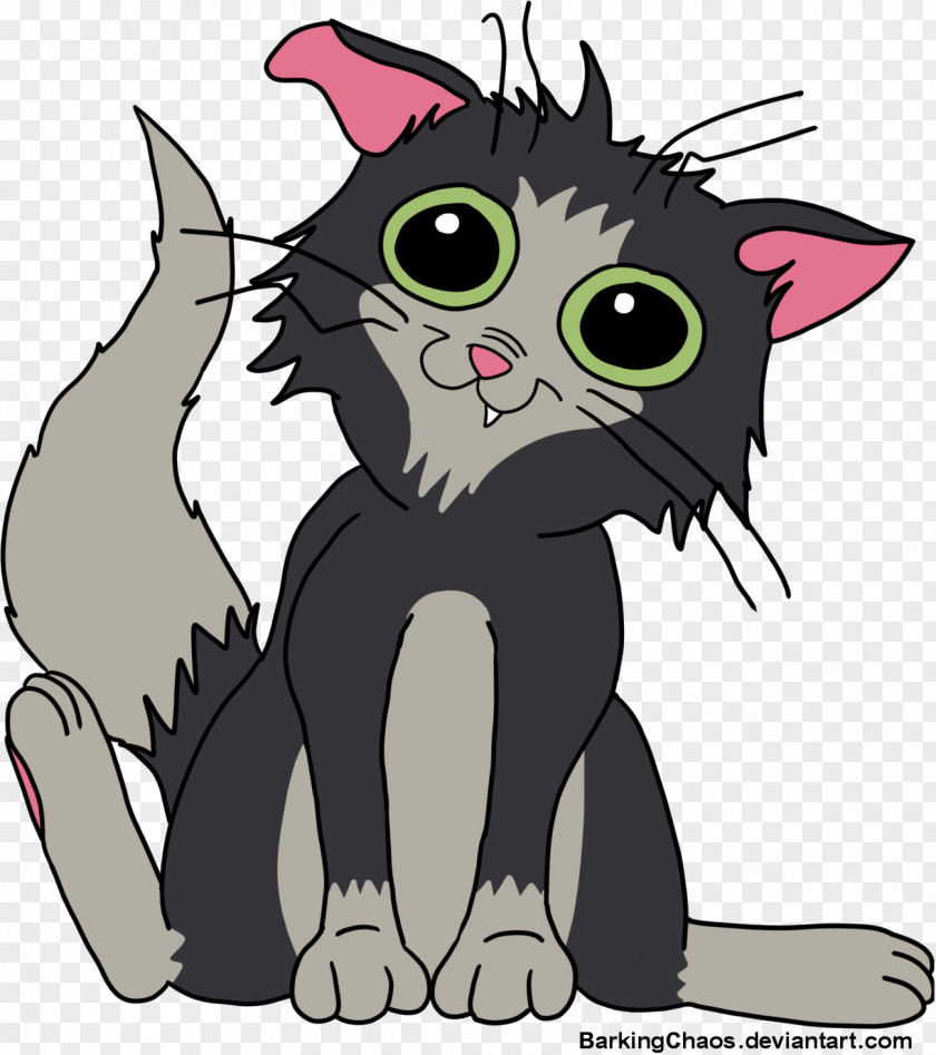 Kitten Mr. Mumbles Whiskers Tabby Cat PNG
