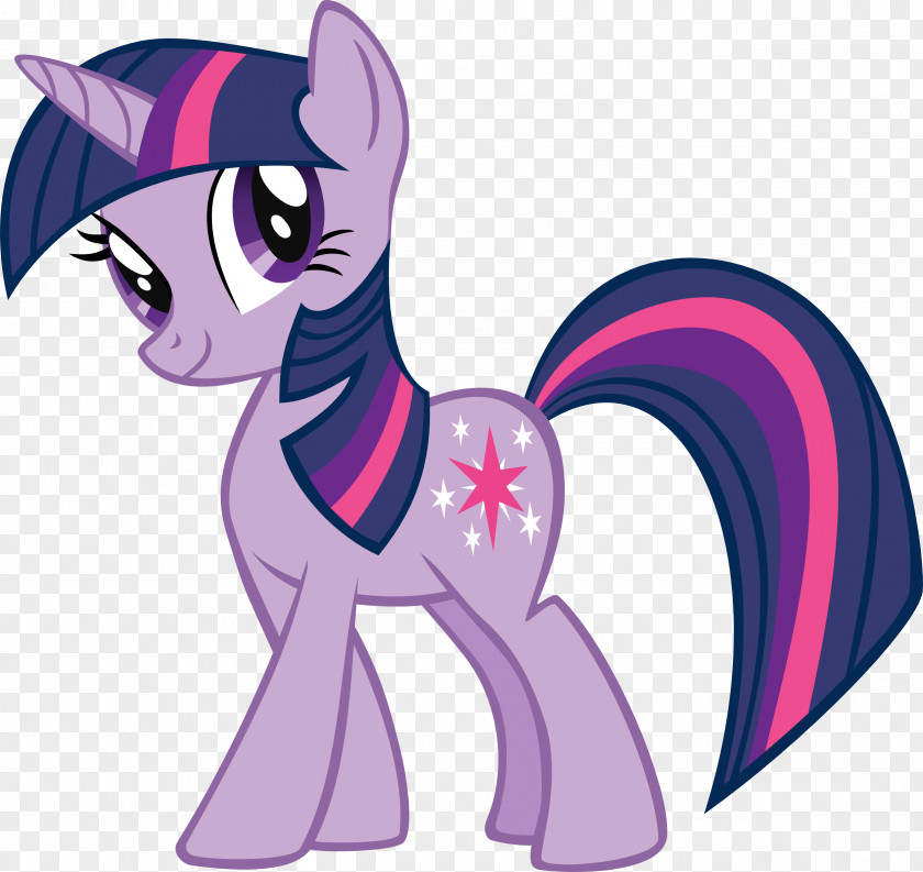 My Little Pony Twilight Sparkle Pinkie Pie Rarity Princess Celestia PNG