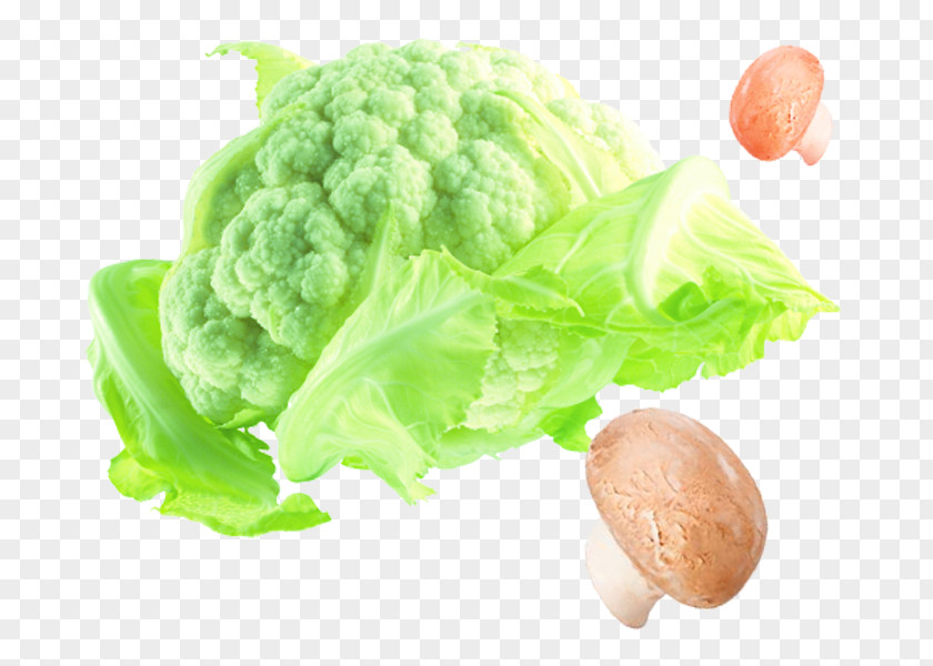 New Year Cooking Broccoli Cruciferous Vegetables Cauliflower Cabbage PNG