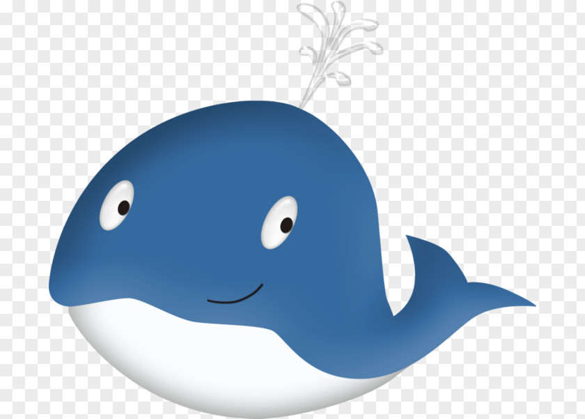 Dolphin Cetacea Sea Marine Biology Clip Art PNG