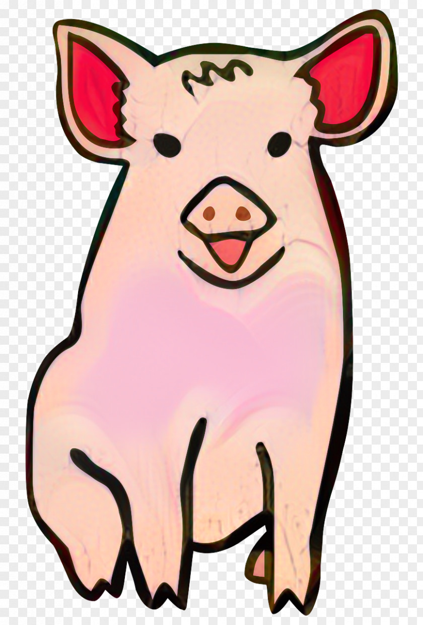 Domestic Pig Image Photography Animal PNG