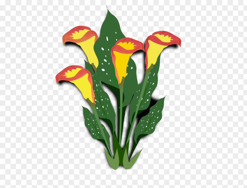 Easter Lily Silhouette Calas Plant Clip Art Arum-lily Plants PNG
