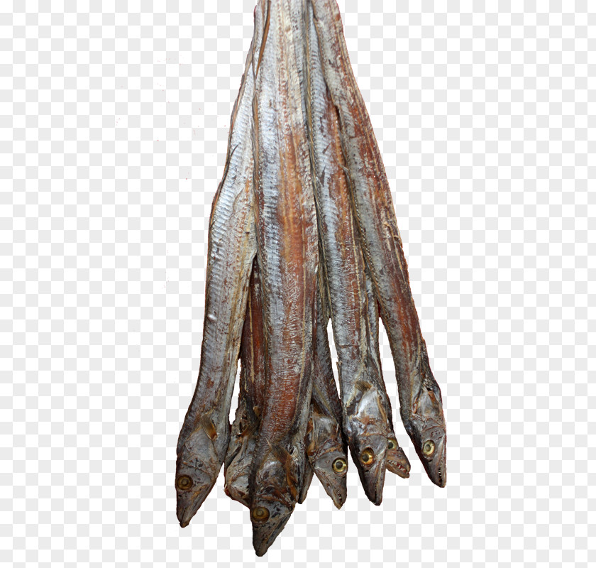 Fish Dried Products Meal Tuna PNG