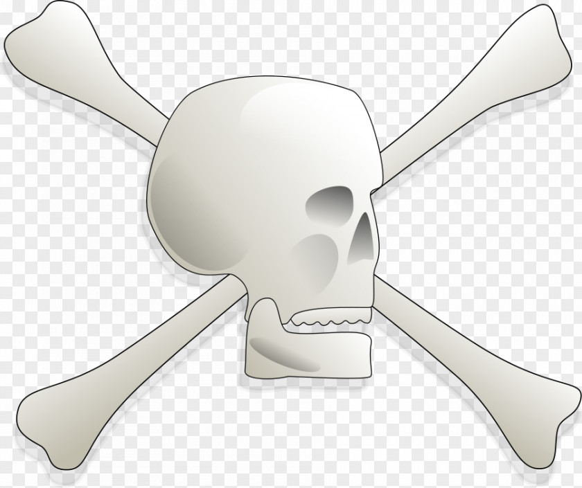 Skulls Photos Bone Human Skull Symbolism Clip Art PNG