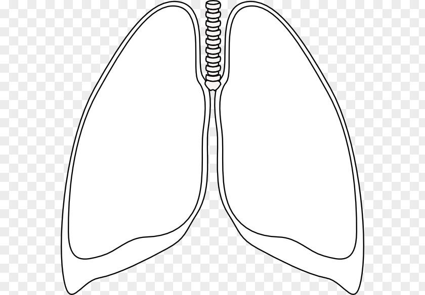 Small Lungs Cliparts Lung Pneumothorax Clip Art PNG