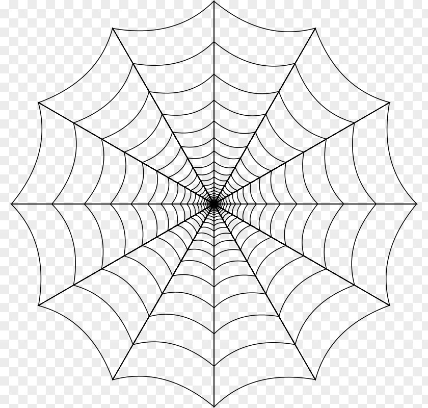 Spider Web Clip Art PNG