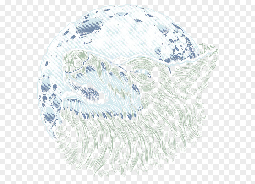 Water Drawing /m/02csf Animal PNG