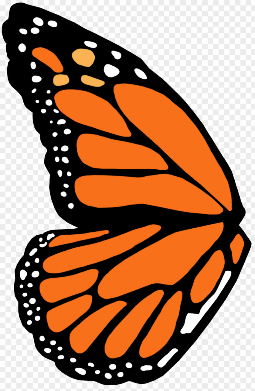Butterfly Monarch Fairy Brush-footed Butterflies Clip Art PNG