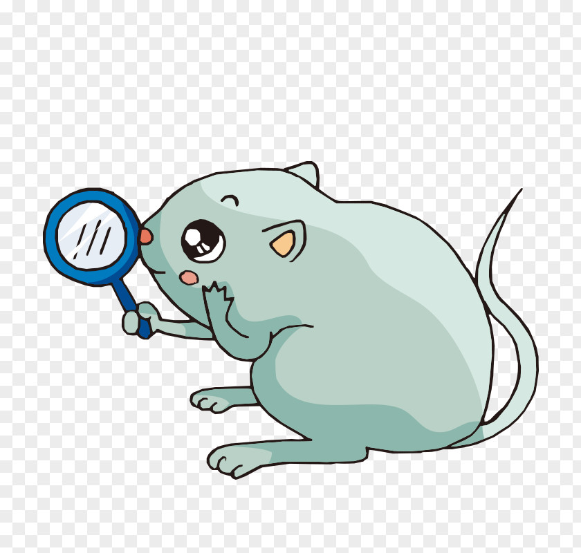 Cartoon Magnifying Glass Image Drawing 0 PNG