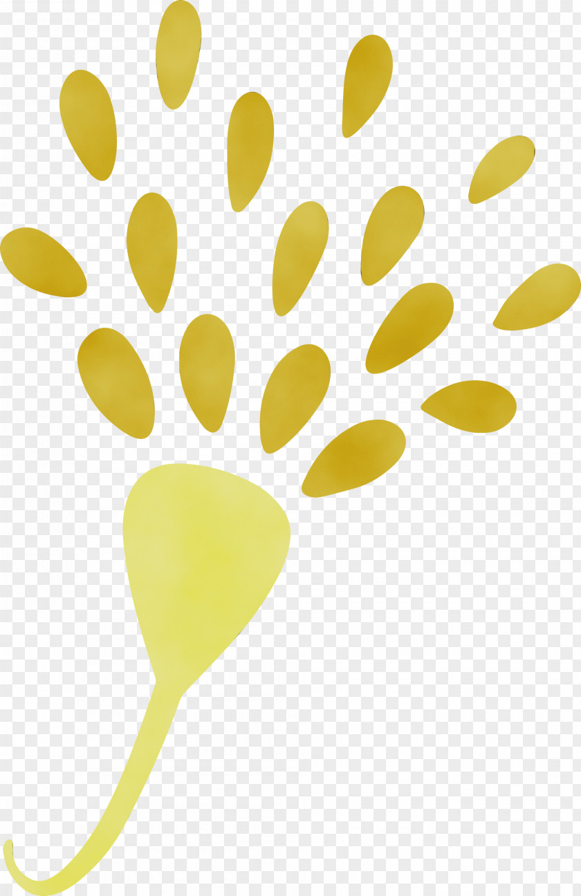 Petal Plant Stem Leaf Yellow Line PNG