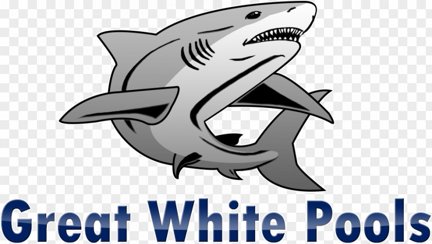 Shark Cartoon Great White Pool Construction Inc. Gallery Building PNG