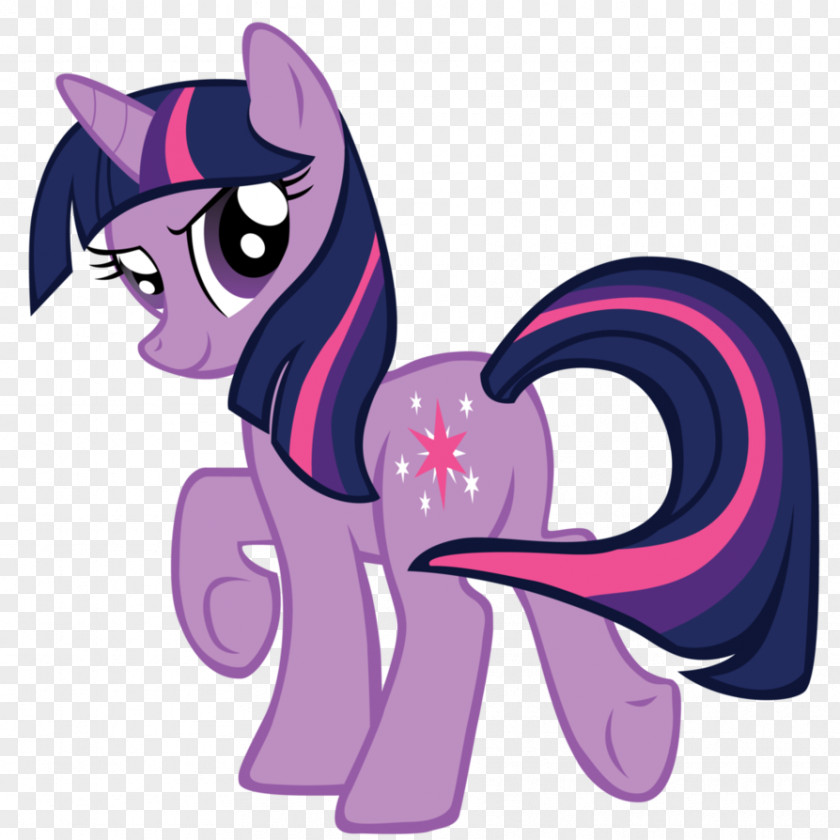What Do You See My Little Pony Twilight Sparkle Sticker Pinkie Pie PNG