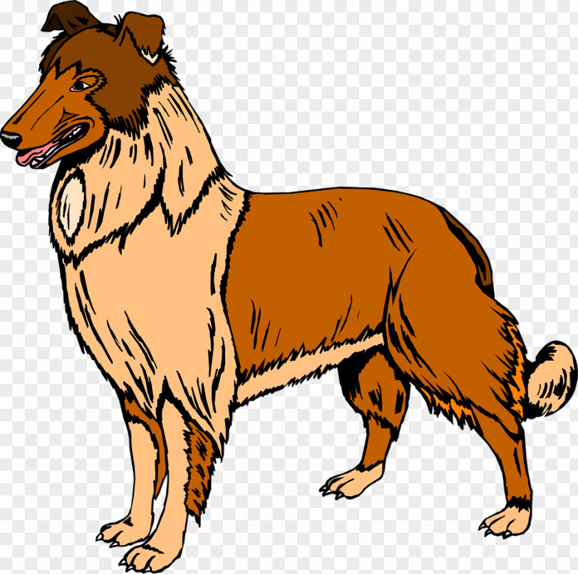 Animation Bernese Mountain Dog Rough Collie Old English Sheepdog Clip Art PNG