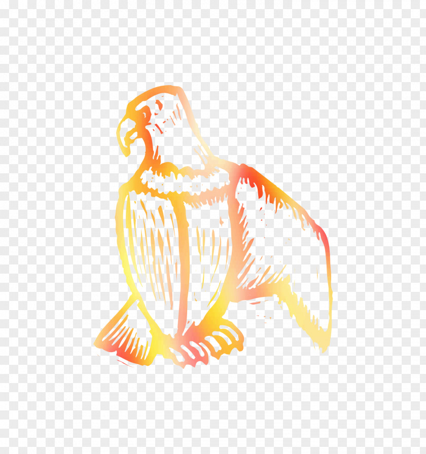 Chicken Drawing Bird Illustration Beak PNG