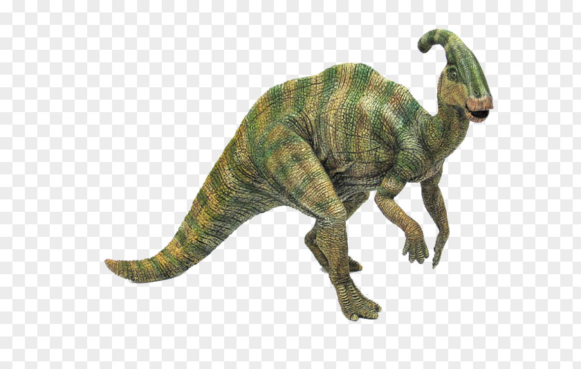 Dinosaur Parasaurolophus Late Cretaceous The Stegosaurus PNG