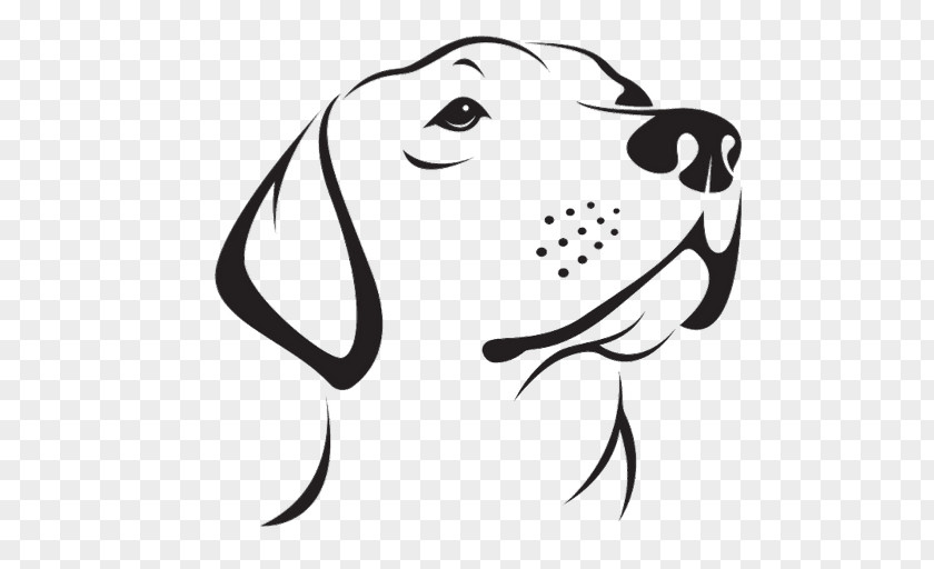 Dog Face White Line Art Nose PNG