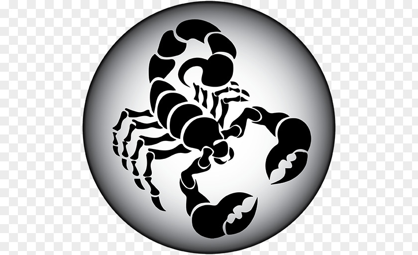 Scorpion Clip Art PNG