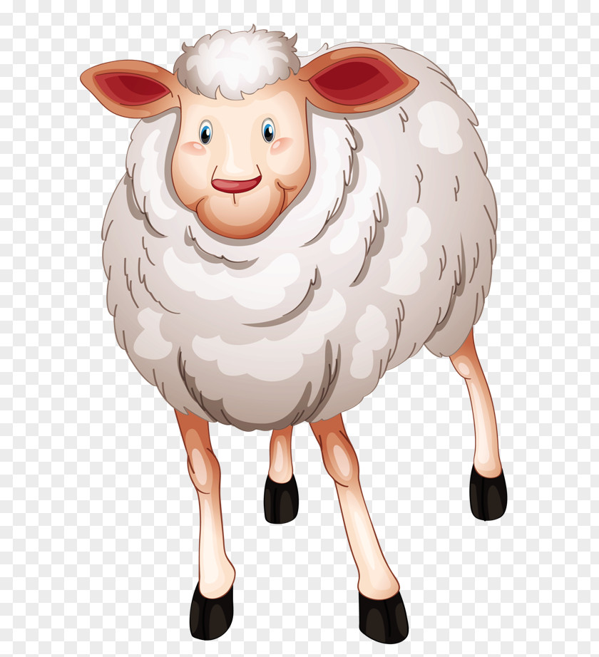 Sheep Lamb Merino Clip Art PNG