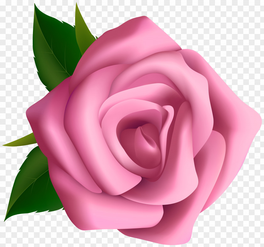 Soft Pink Rose Clipart Image Flower Clip Art PNG
