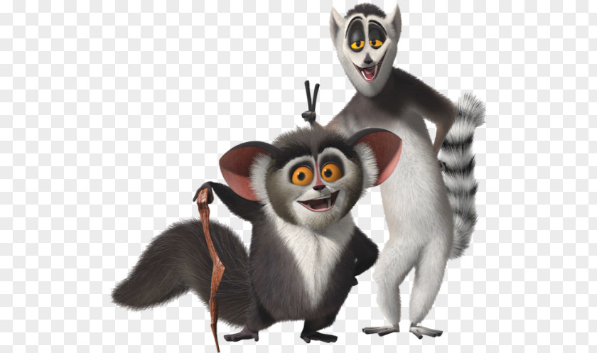 Animation Julien Lemur Melman Alex Madagascar PNG