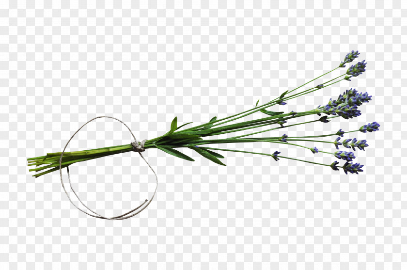 Bouquet Twig PNG