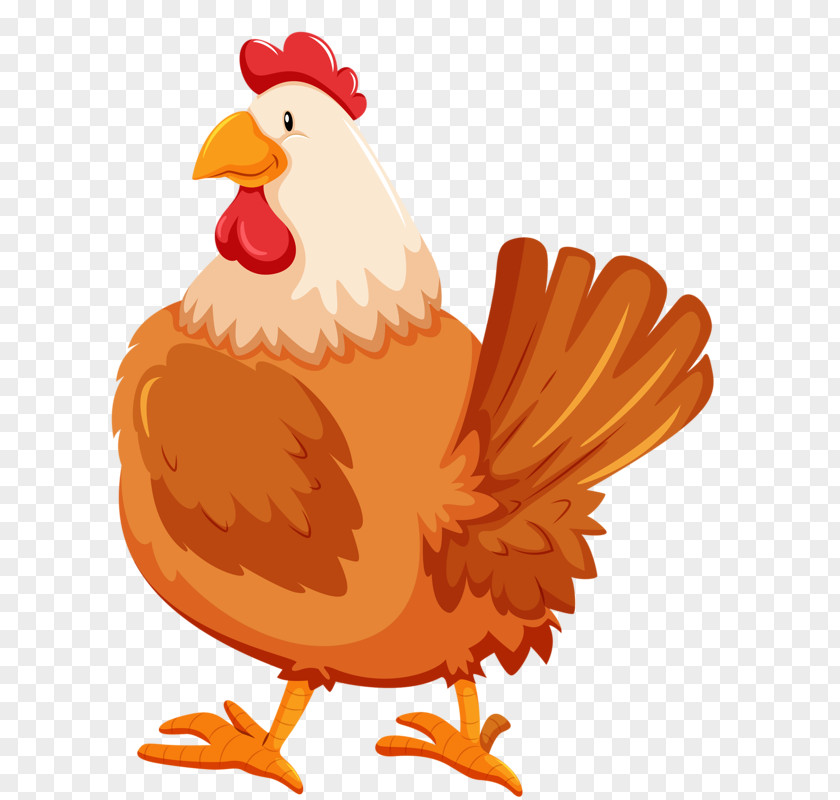 Cartoon Hen Chicken PNG