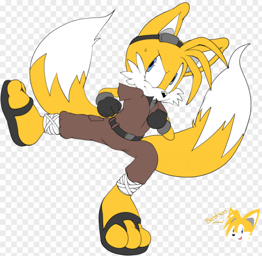 Happy Tails Sonic Chaos Team Art PNG