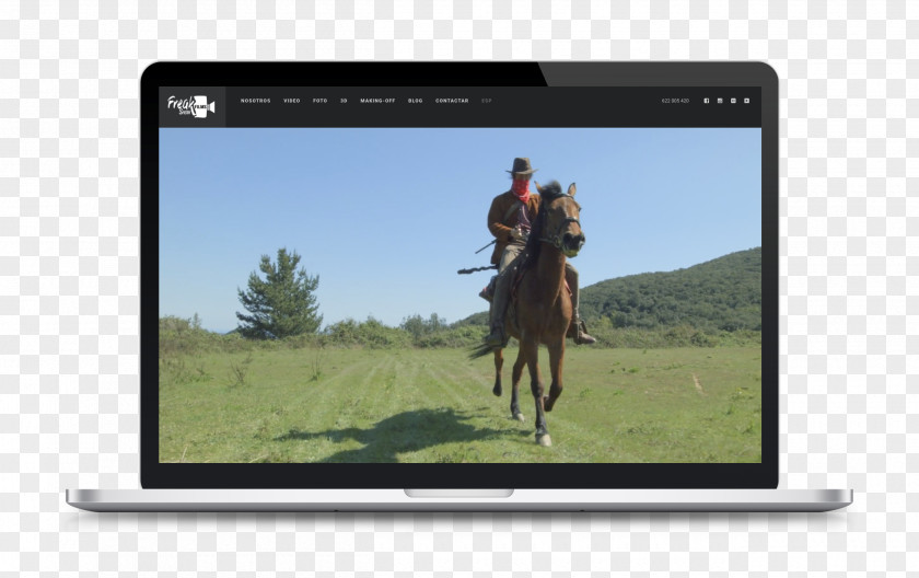 Horse Mataró Advertising Video Graphic Design PNG