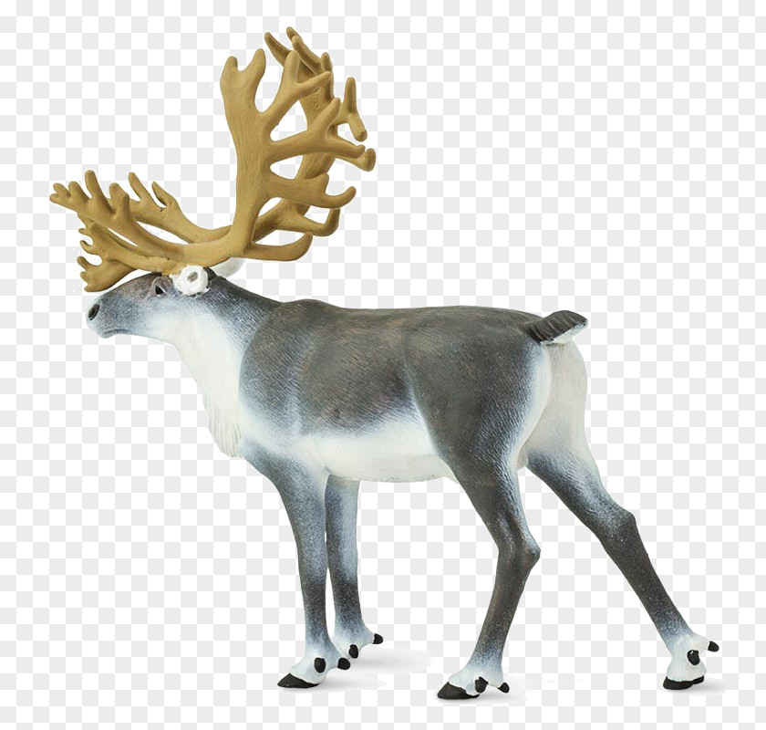 Reindeer Safari Ltd White-tailed Deer Wildlife PNG