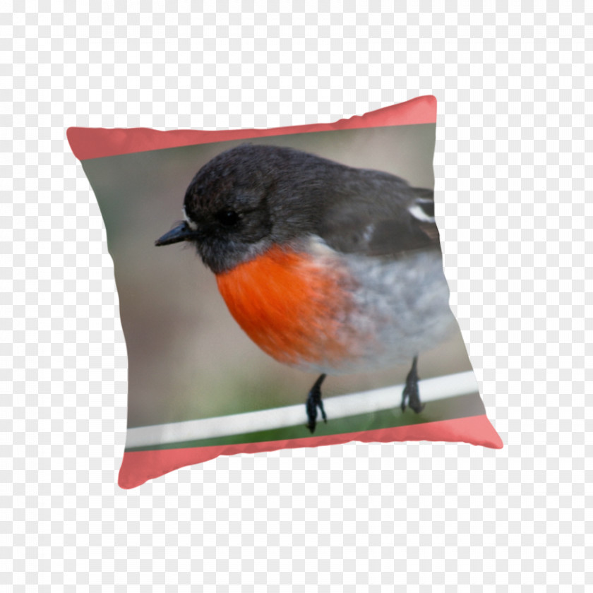 Spiral Wire Notebook Wren Old World Flycatchers Beak Cushion PNG