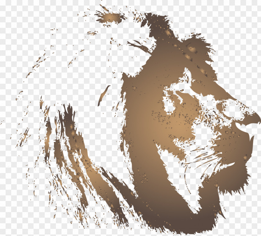 Vector Lions PNG