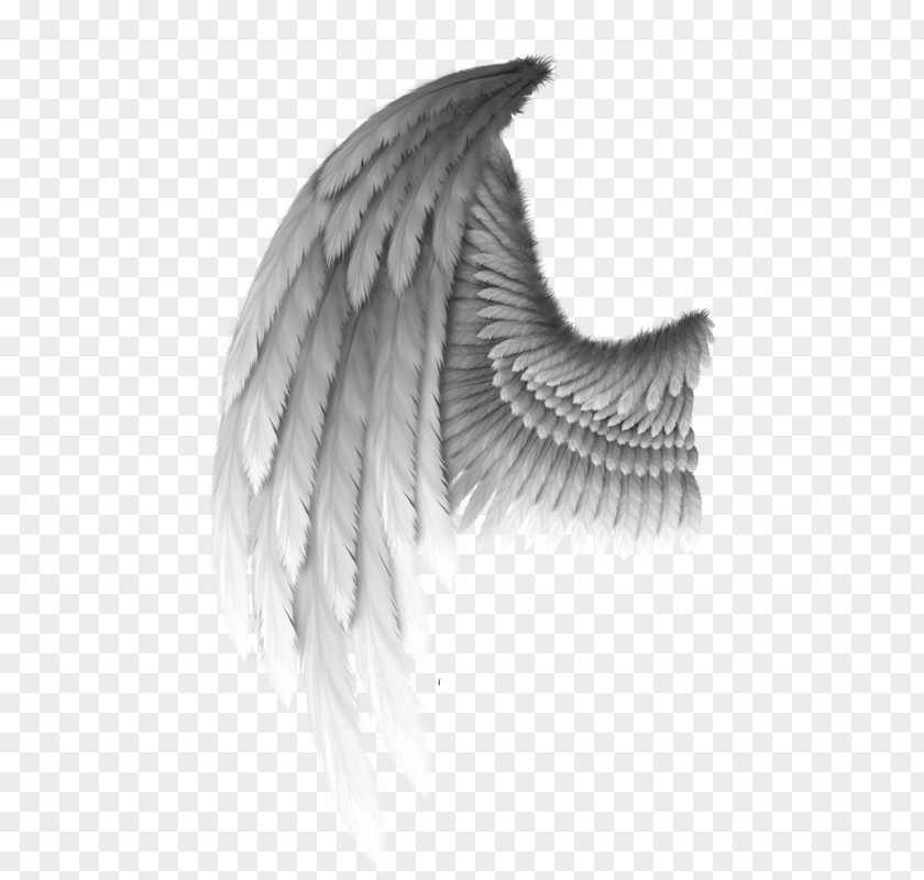 Angel Clip Art PNG