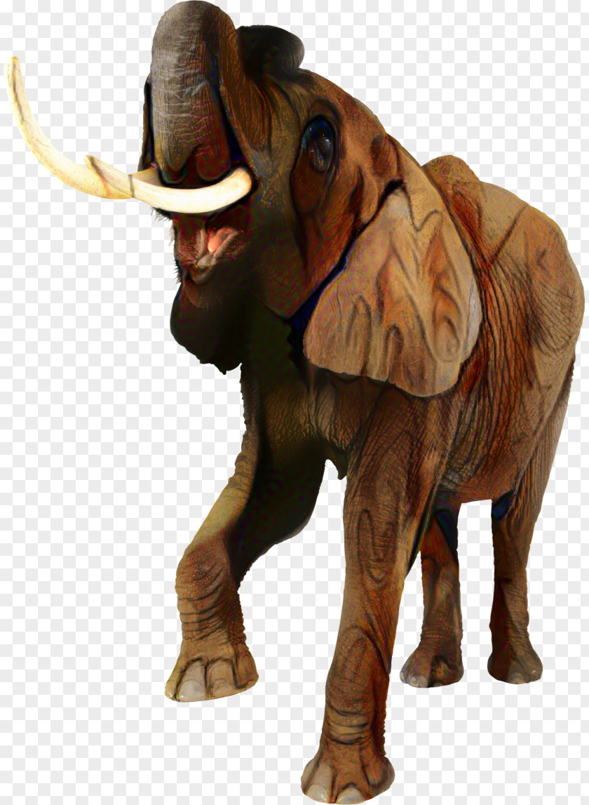 Asian Elephant Image Desktop Wallpaper PNG