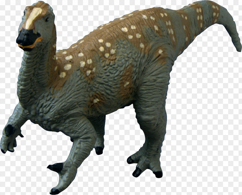 Dinosaur Tyrannosaurus Velociraptor Dryosaurus PNG