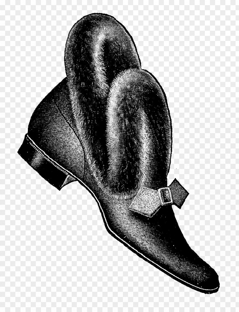 Fashion Shoes Slipper Robe Shoe Footwear PNG