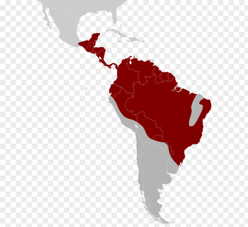 Map South America Latin Language English PNG