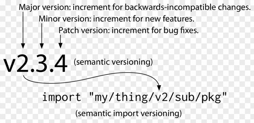 Software Versioning Go Semantic Computer Compatibility Increment And Decrement Operators PNG
