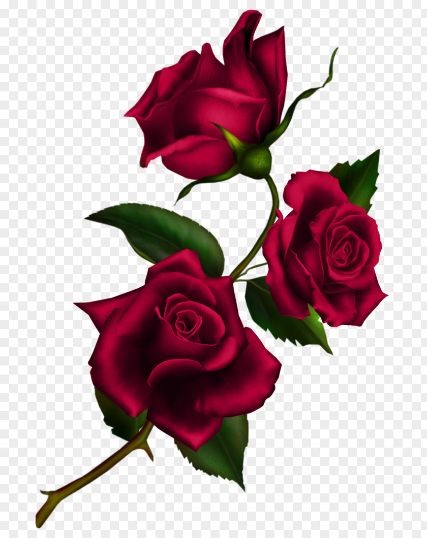 Flower Clipart Rose Clip Art PNG