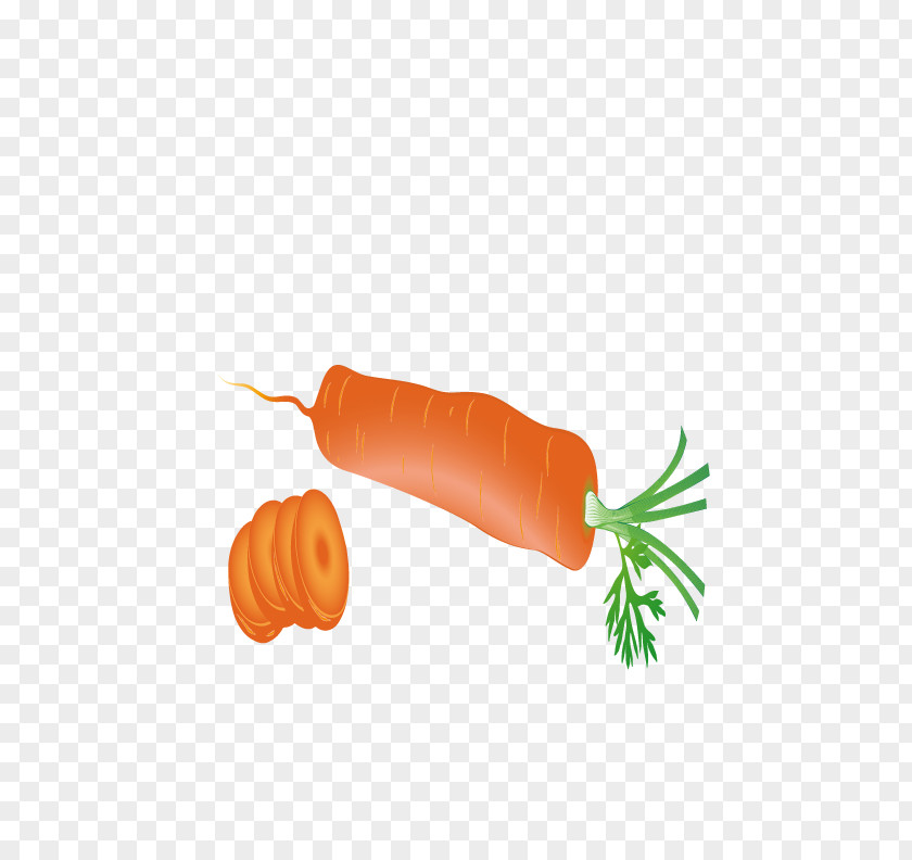 Fresh Carrots Carrot Download PNG