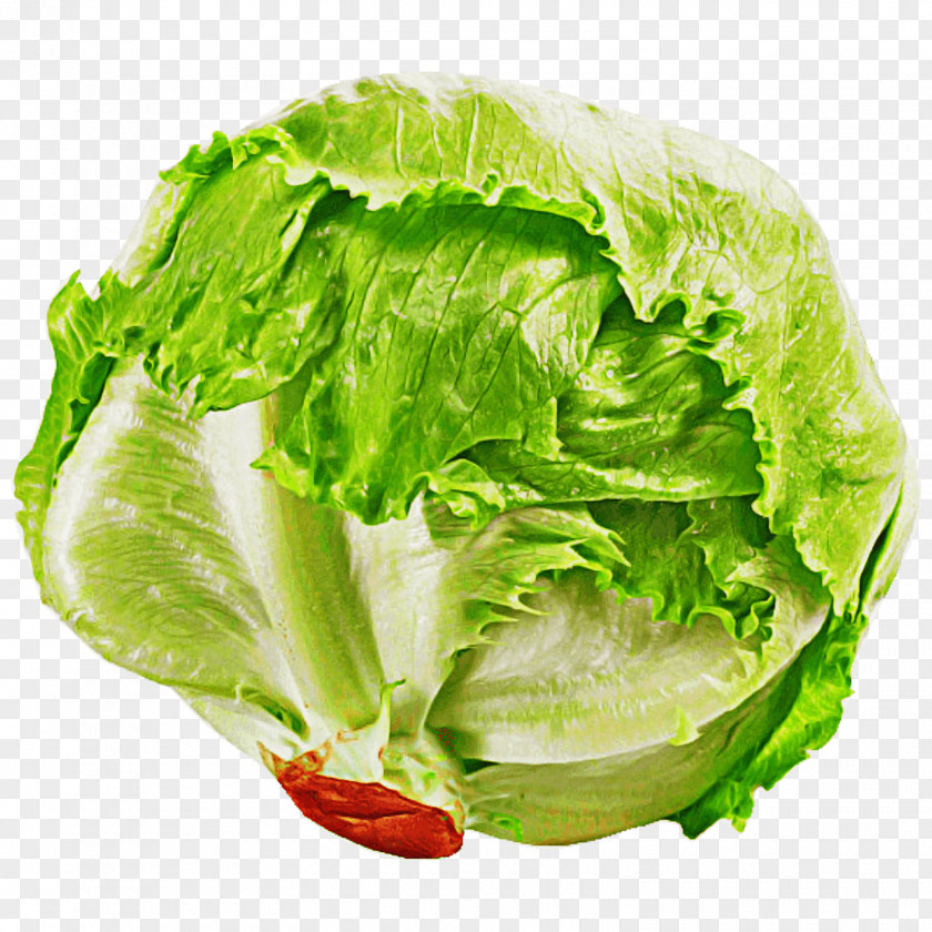 Leaf Vegetable Lettuce Iceburg Food PNG