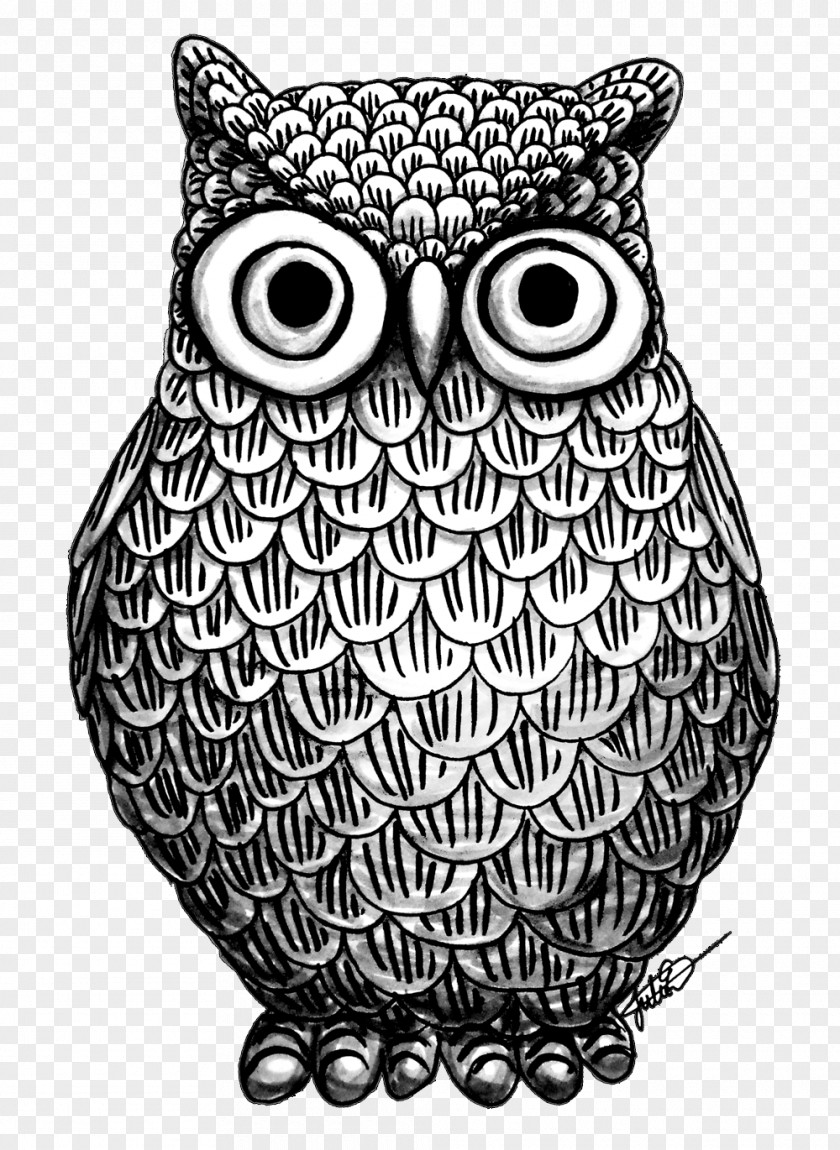Owl Drawing Art Coloring Book PNG