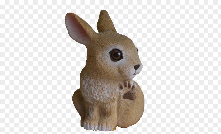 Rabbit Domestic Hare GIFアニメーション Adobe Flash PNG