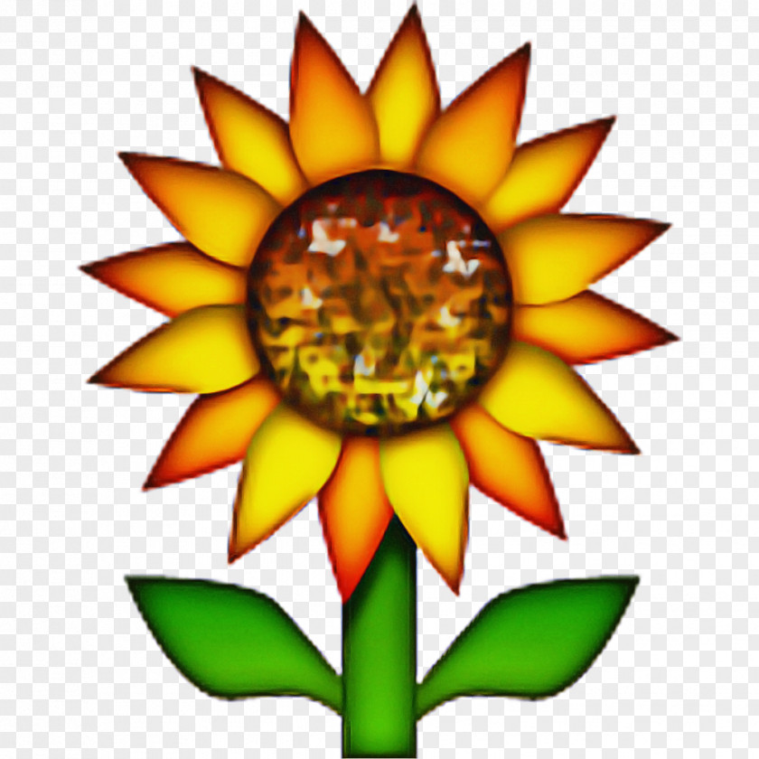 Symmetry Wildflower Flower Emoji PNG